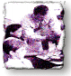 Picture of of computer mouse, link to E V S contact information